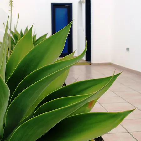 Puerto Rubicon Villa