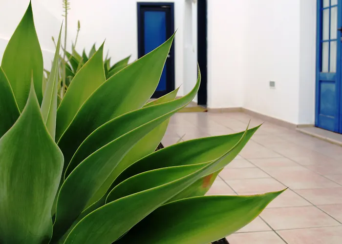 Puerto Rubicon Hotell